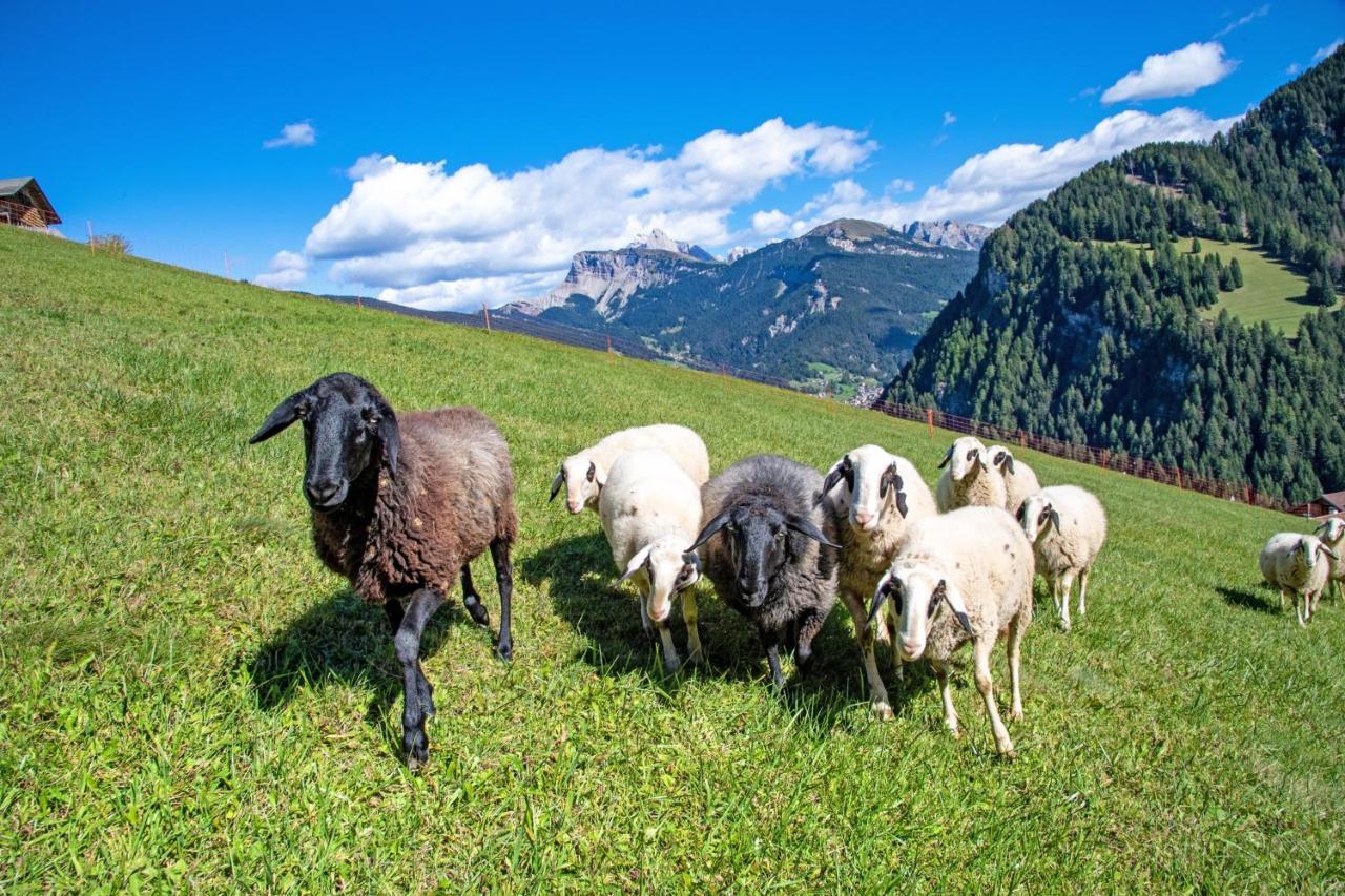 Agriturismo Apartments Tuene Ortisei Exteriér fotografie