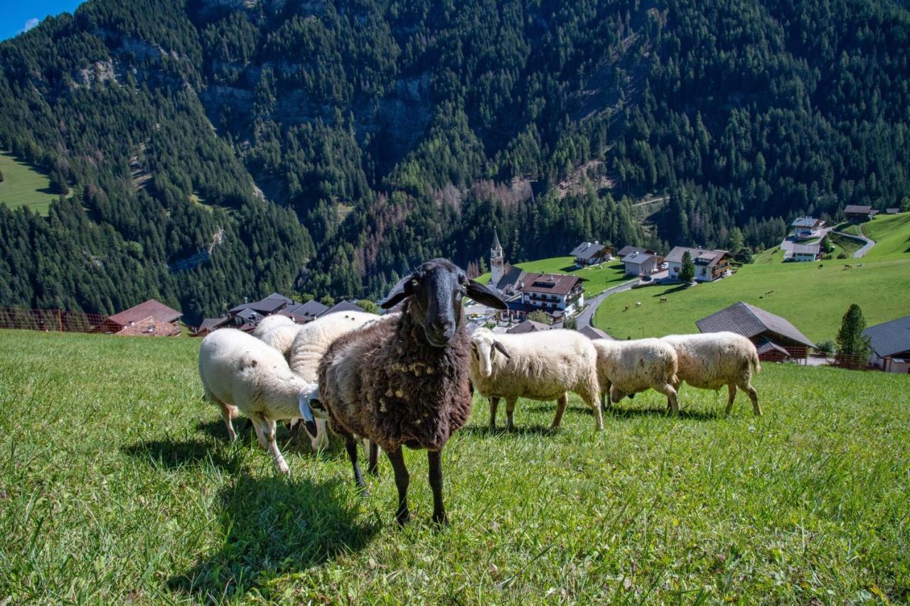 Agriturismo Apartments Tuene Ortisei Exteriér fotografie