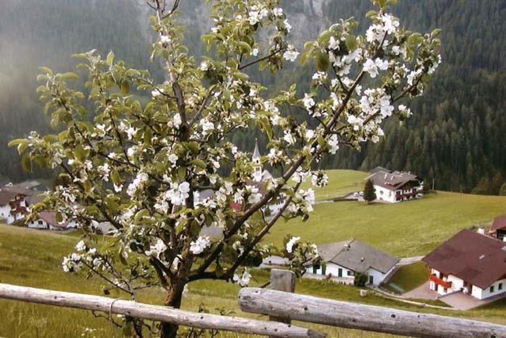 Agriturismo Apartments Tuene Ortisei Exteriér fotografie